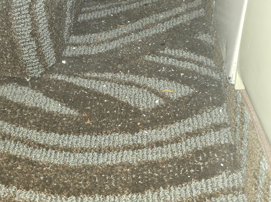 Holiday Inn Youngstown-south (boardman) By IHG主图