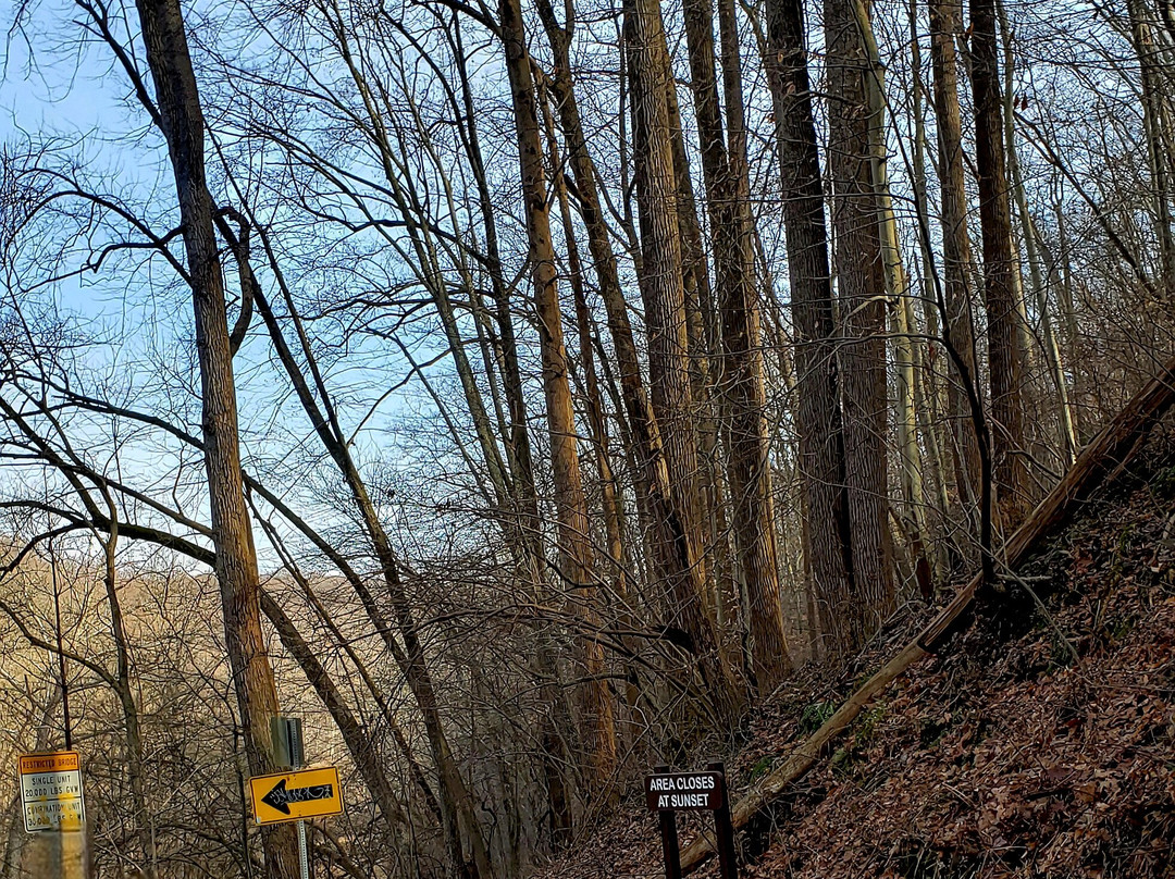 Forge Hill Road Bridge-Bel Air必去景点