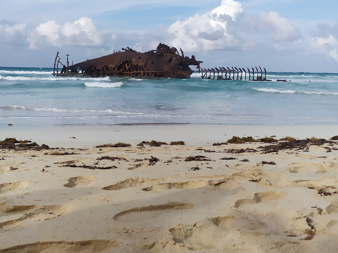 Momo Tour Boa Vista-圣莫尼卡必去景点