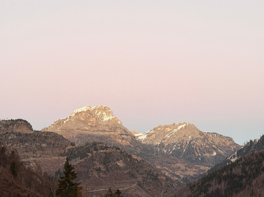 Pineta Pastry Hotel主图