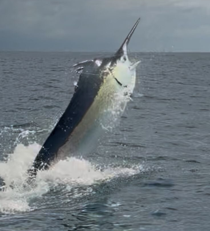 Samara Deep Sea Fishing And Lodge-萨玛拉滩必去景点