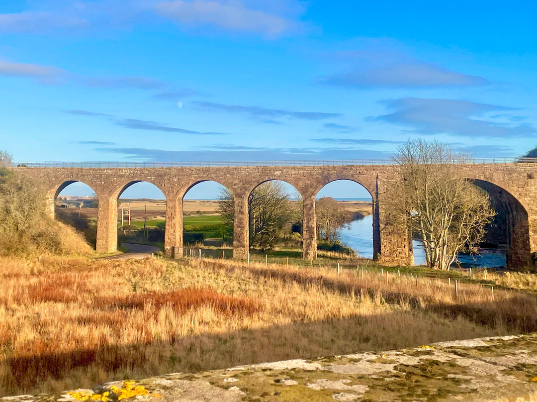 North Water Viaduct-St Cyrus必去景点