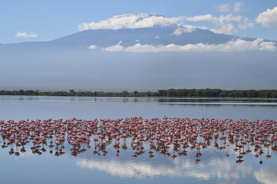 Nairobi Specialists Safaris, Car Hire, Drivers-内罗毕必去景点