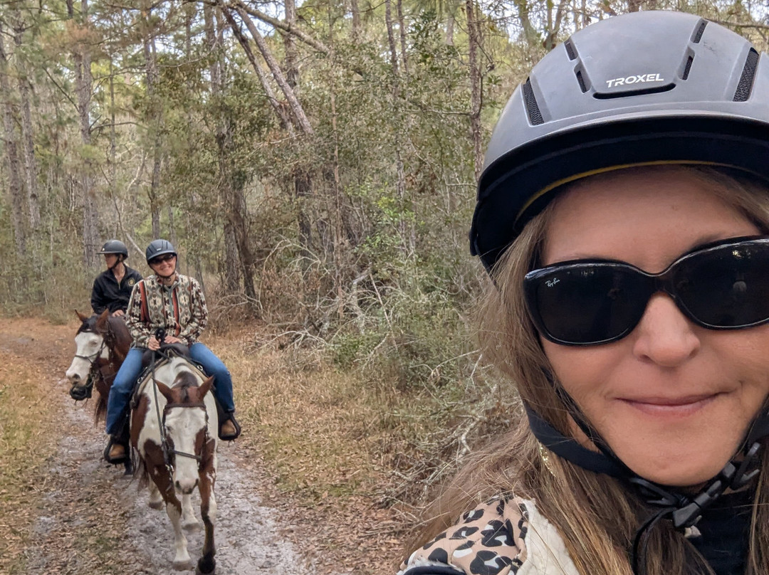 Black Prong Adventures Horseback Riding And Carriage Tours In The Goethe State Forest-Bronson必去景点