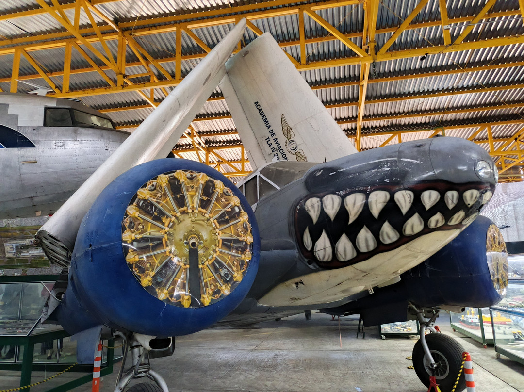 Museo Aereo Fenix-Palmira必去景点