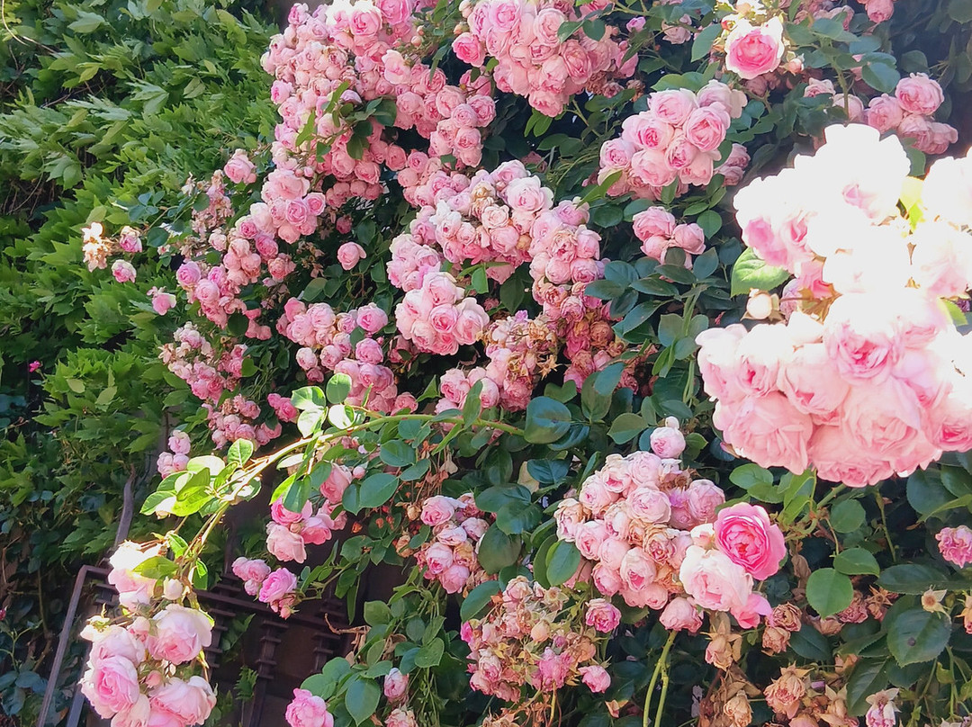 Around And About-威廉斯镇必去景点