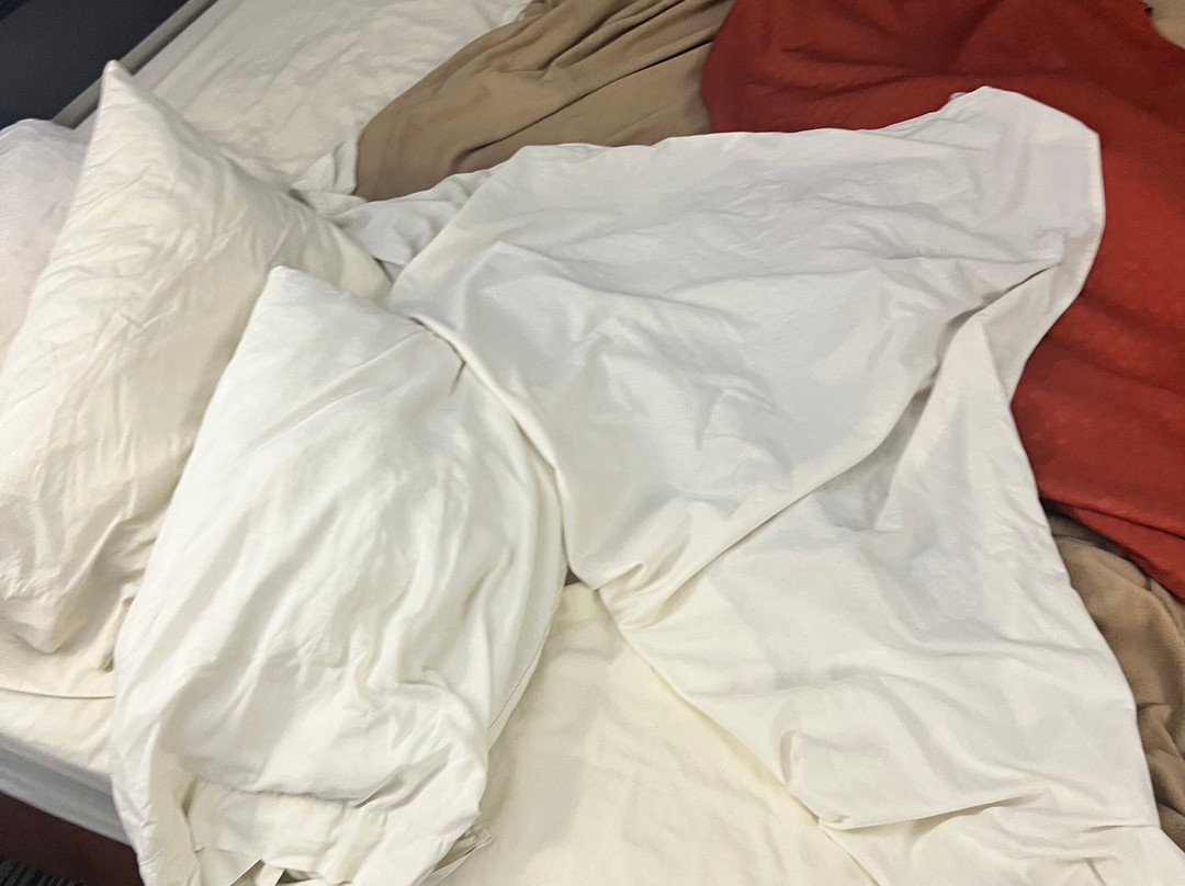 Super 8 by Wyndham Mount Vernon主图