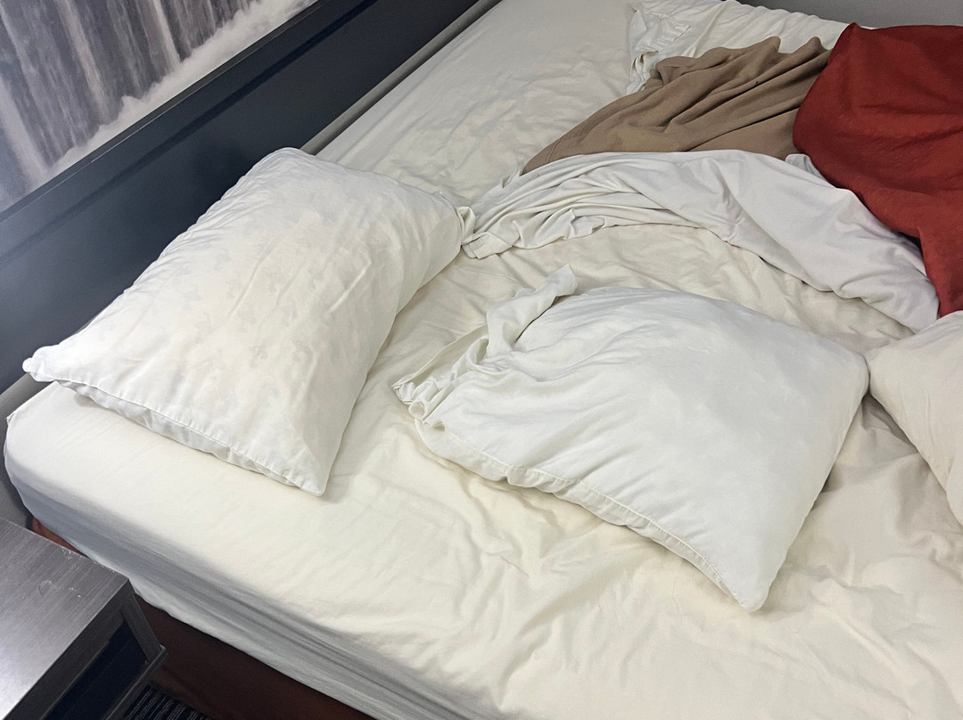 Super 8 by Wyndham Mount Vernon主图