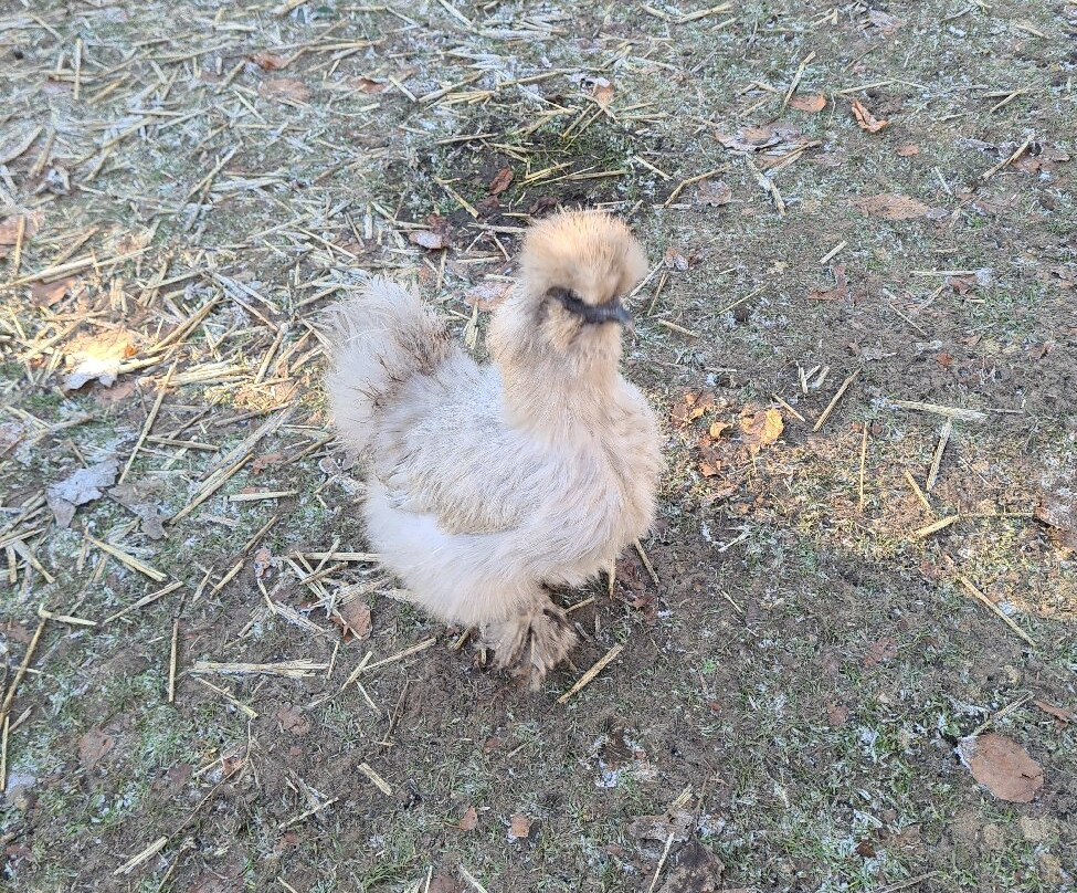 Huckleberry Woods-Faversham必去景点