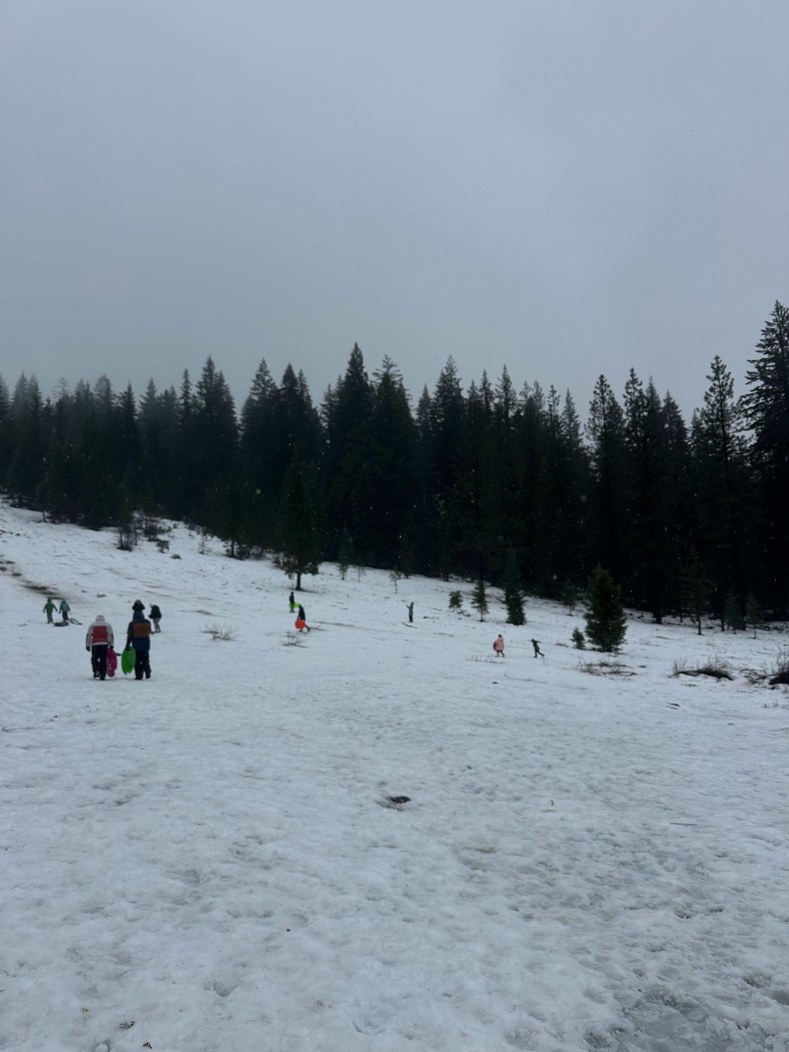 Cave Springs Resort-官方