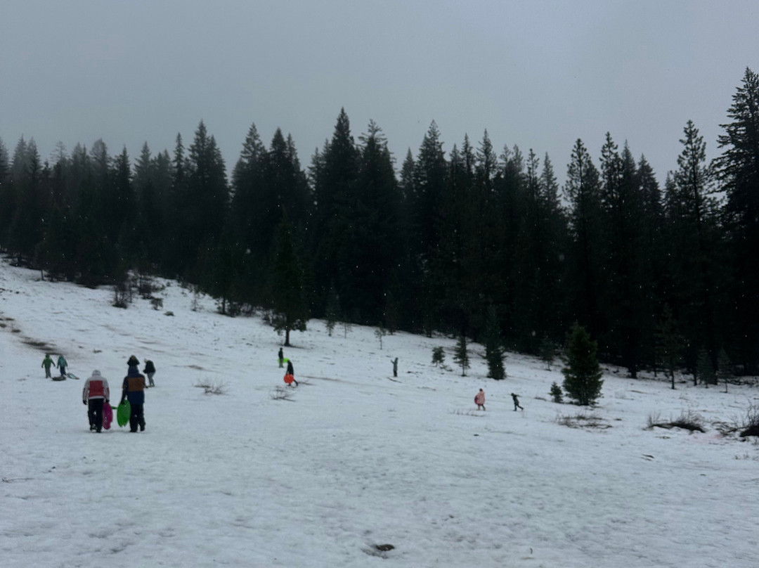 Cave Springs Resort主图