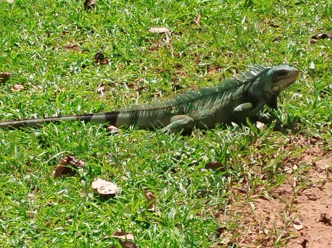 Carolinamatur - Chapada das Mesas-Carolina必去景点