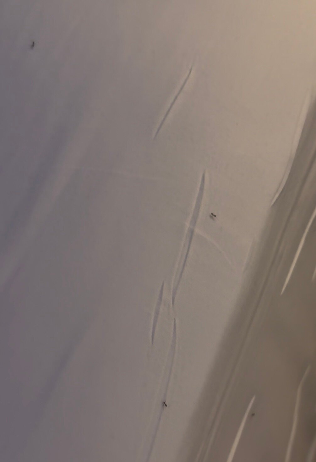 铂尔曼马赛普罗旺斯度假酒店-官方