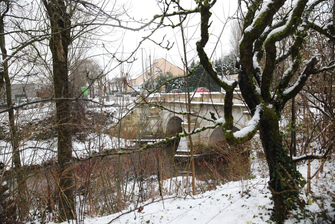 Le Pont de Pierre-Chatenoy-le-Royal必去景点