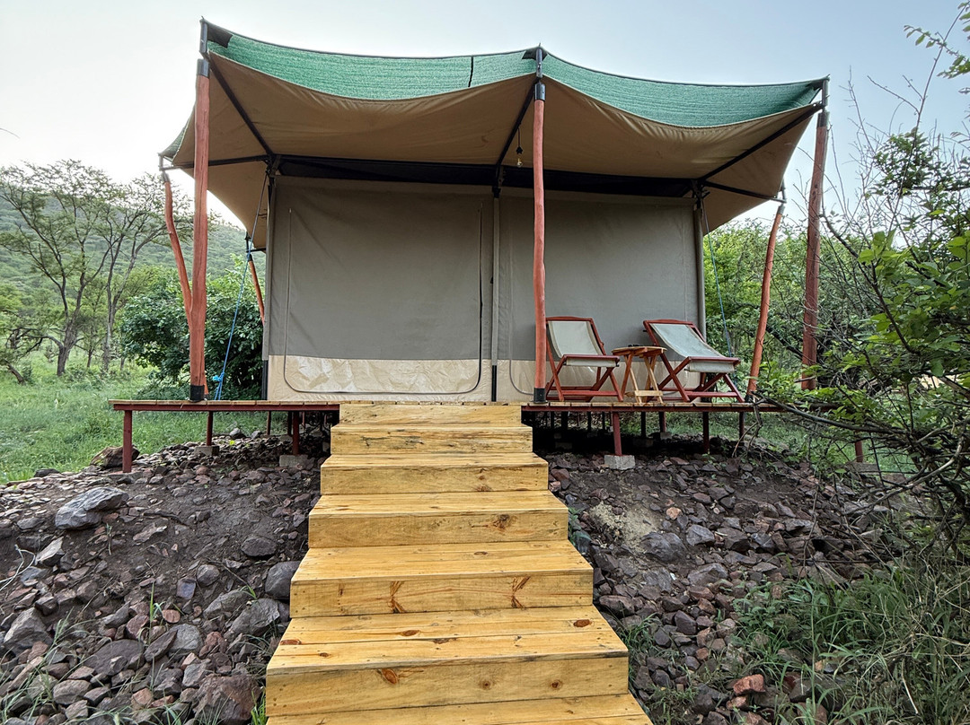 Mbuni Tented Camps-Seronera必去景点