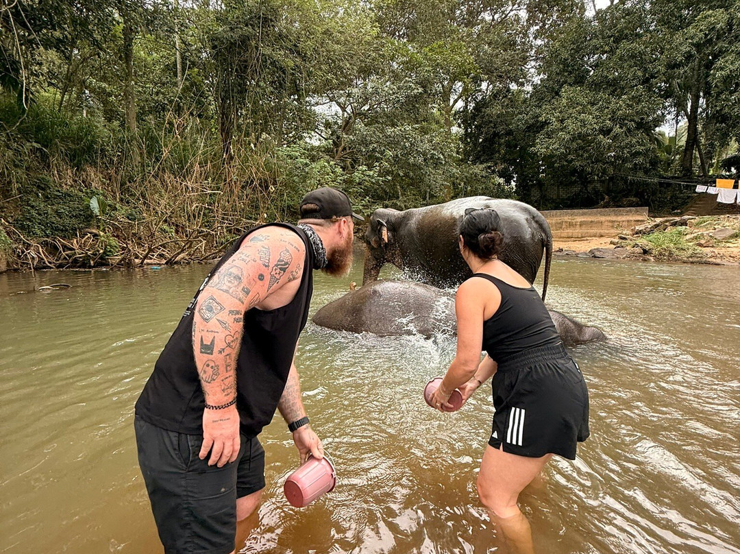 Elephant Freedom Project-凯格勒 必去景点