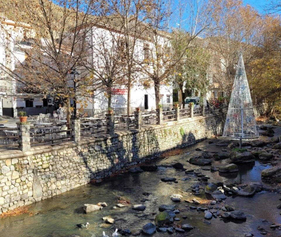 Apartamentos Pinos Genil