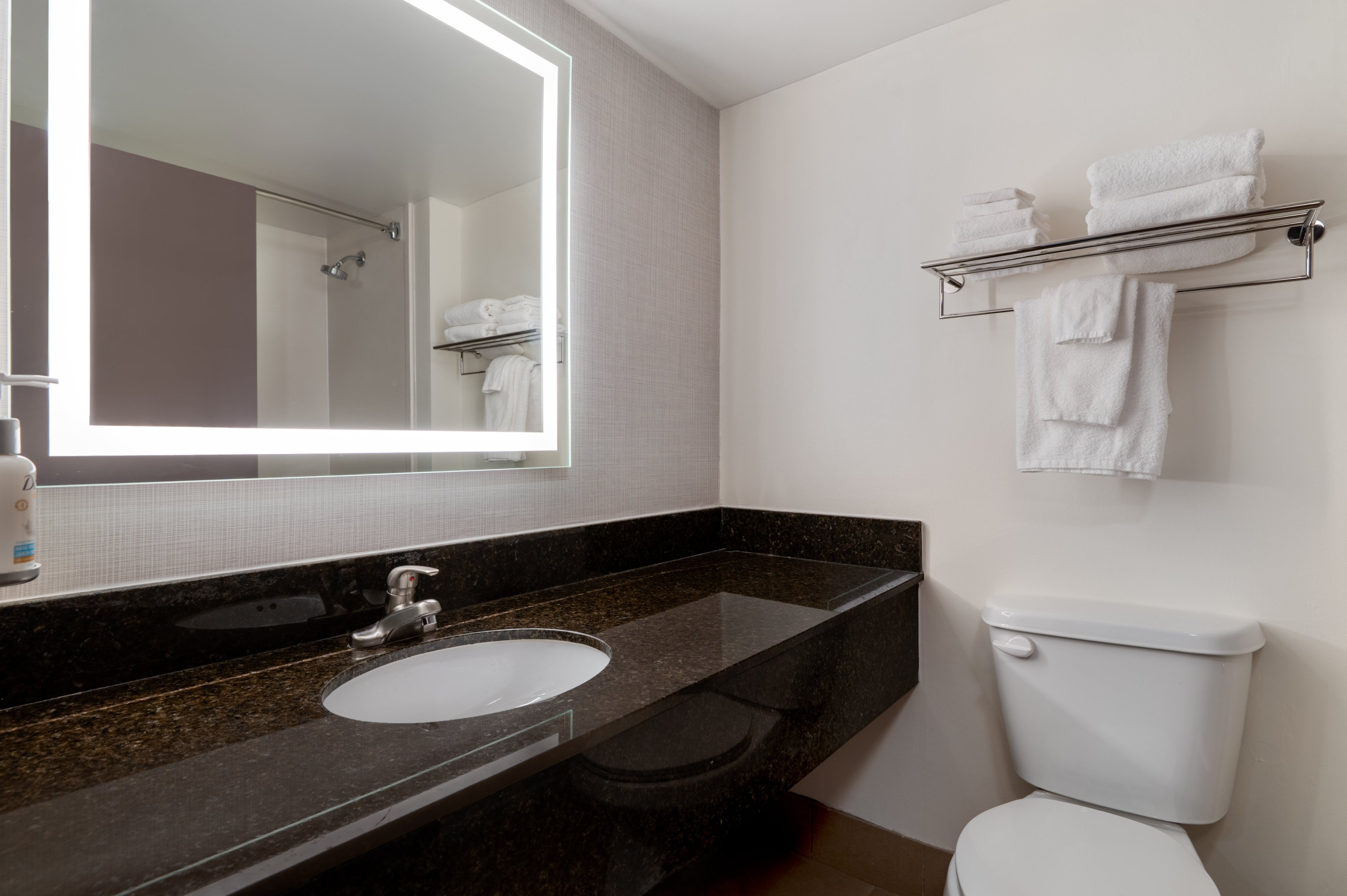 Garner Hotel Murfreesboro West by IHG-浴室