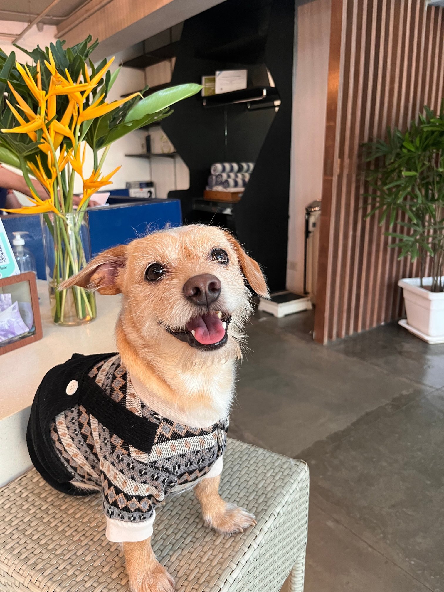 堪瓦司精品酒店-官方