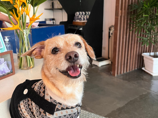 堪瓦司精品酒店主图