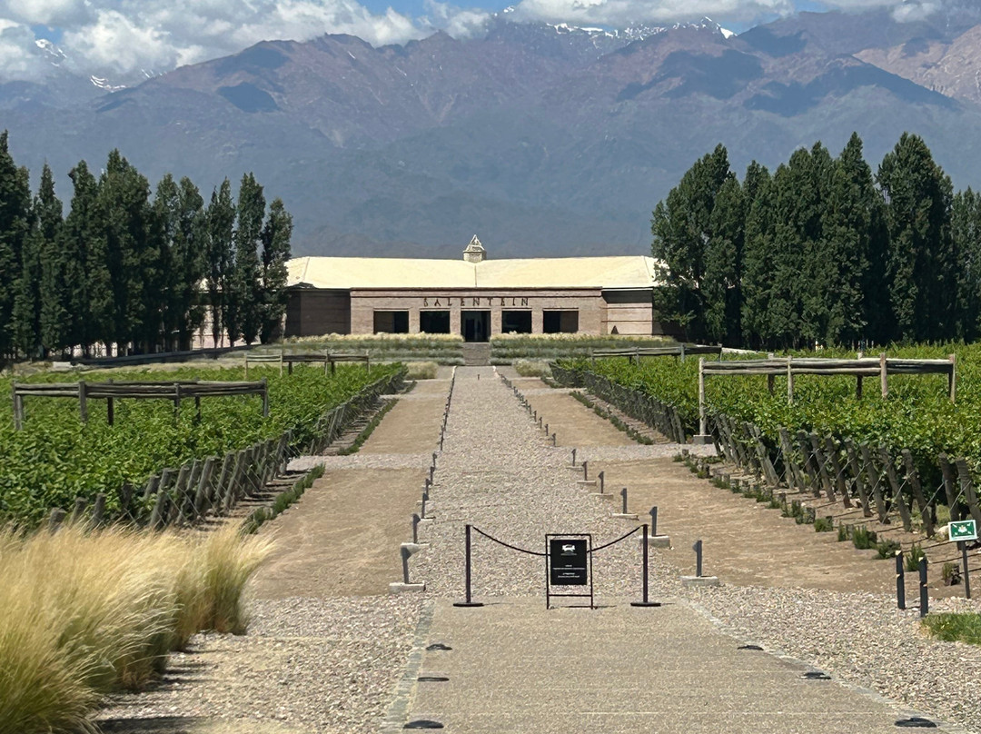 Bodega Salentein-Los Arboles必去景点