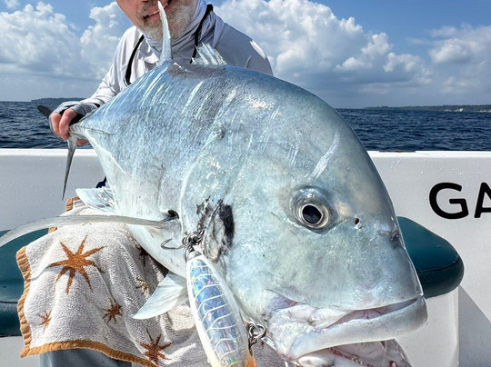 Gamefishing Asia - Day Tours-布莱尔港必去景点