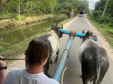 Mr.Taxi.lk - Negombo ( Katunayaka Airport Drops & Picups)-尼甘布必去景点