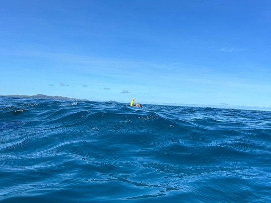 Nautilus Adventure Tours-纳迪市必去景点