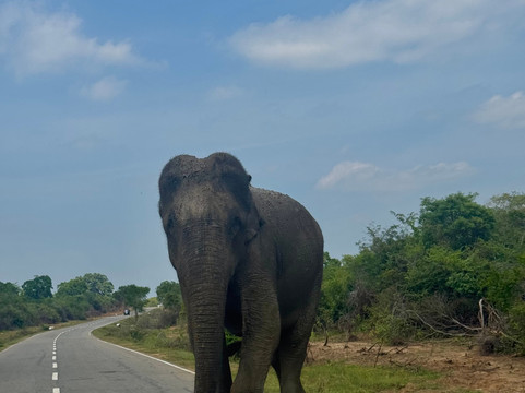 Chavo Tours-埃勒必去景点