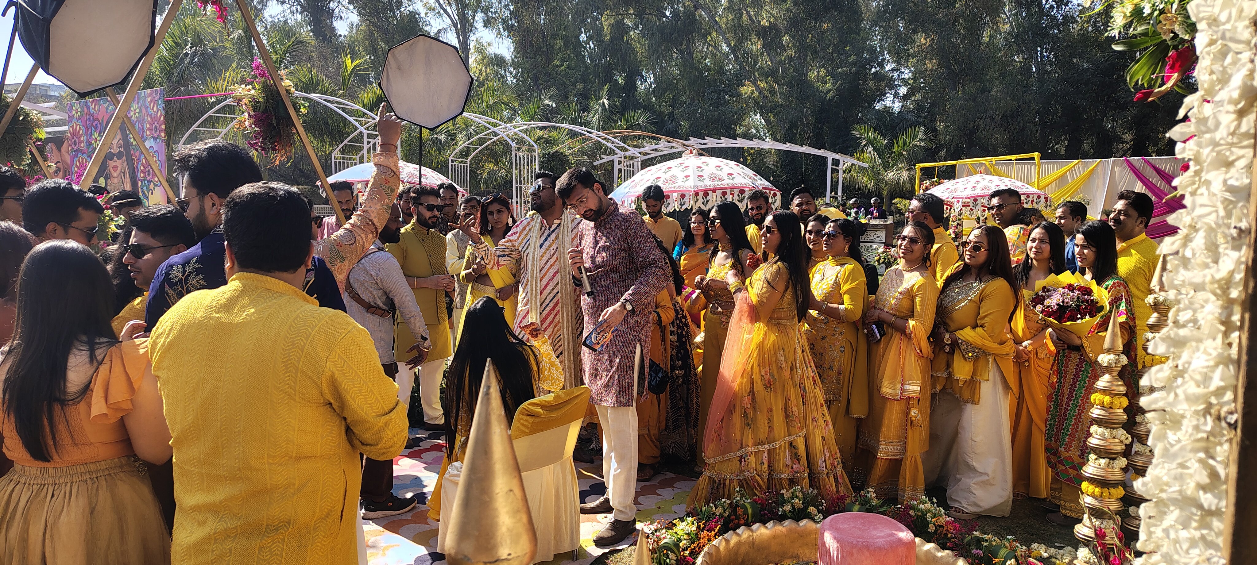 Velvet Clarks Exotica-官方