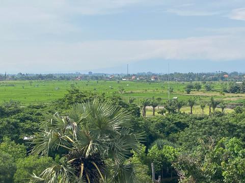 Reddog Bali Tours-库塔必去景点