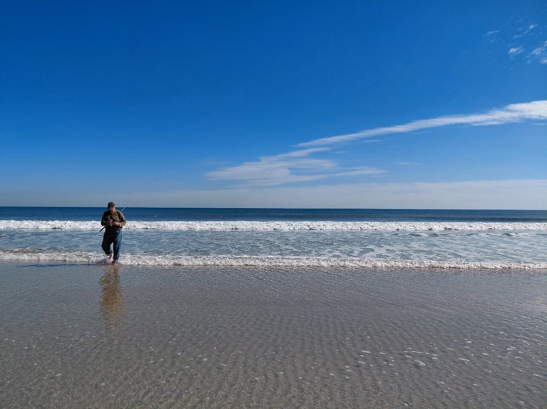 Freeman Park-卡罗来纳比奇必去景点