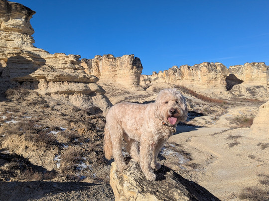 Castle Rock-Quinter必去景点