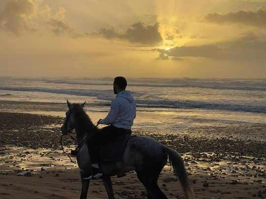 Cheval Essaouira-索维拉必去景点