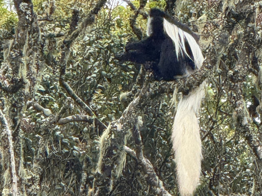 iTravel Safari & Expeditions-阿鲁沙必去景点