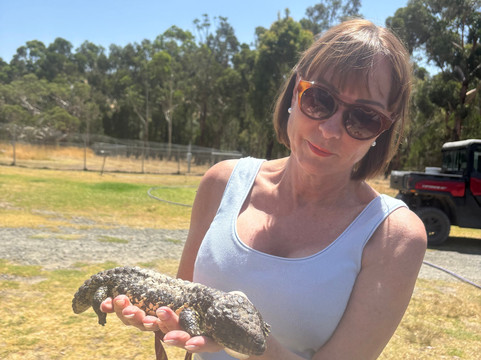 Softfoot Farm & Wildlife Park-Hindmarsh Valley必去景点