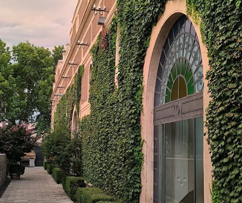 Bodega Los Toneles-门多萨必去景点