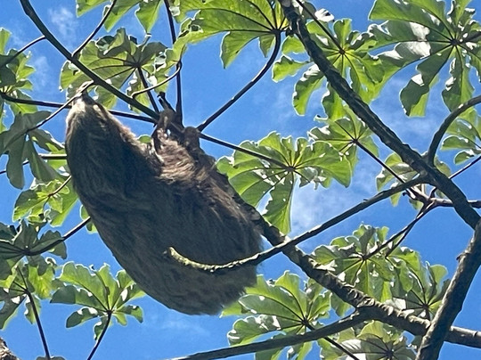 Costa Rica Expedition Tours-Culebra必去景点