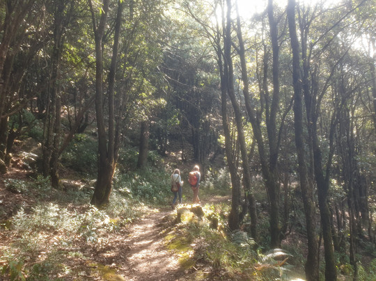 Jabarkhet Nature Reserve-马苏里必去景点