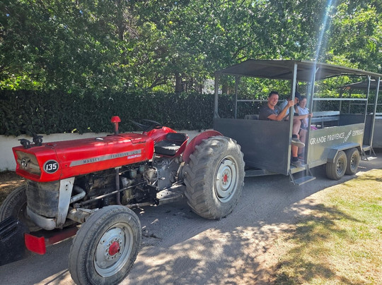 Franschhoek Wine Tram-法兰舒克必去景点
