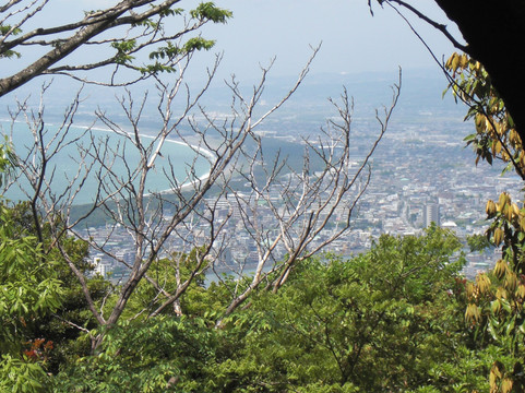 Numazu Alps Mountains-沼津市必去景点