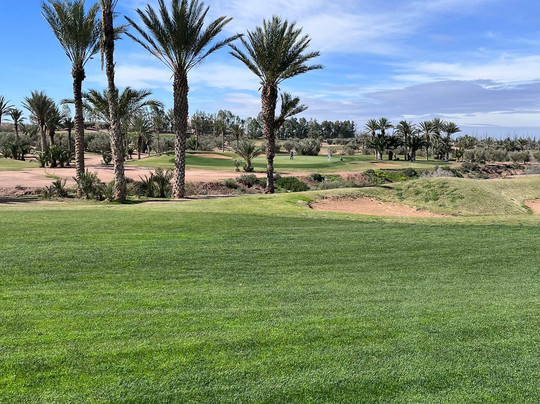Assoufid Golf Club-马拉喀什必去景点