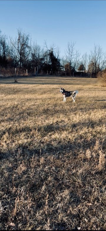 战地住宿加早餐旅馆-浴室