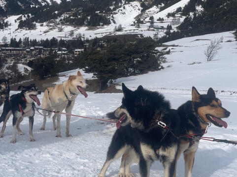Husky Adventure-Lanslebourg Mont Cenis必去景点