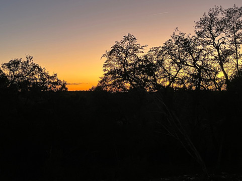 米拉瓦尔奥斯汀度假村及水疗中心 - 限成人主图