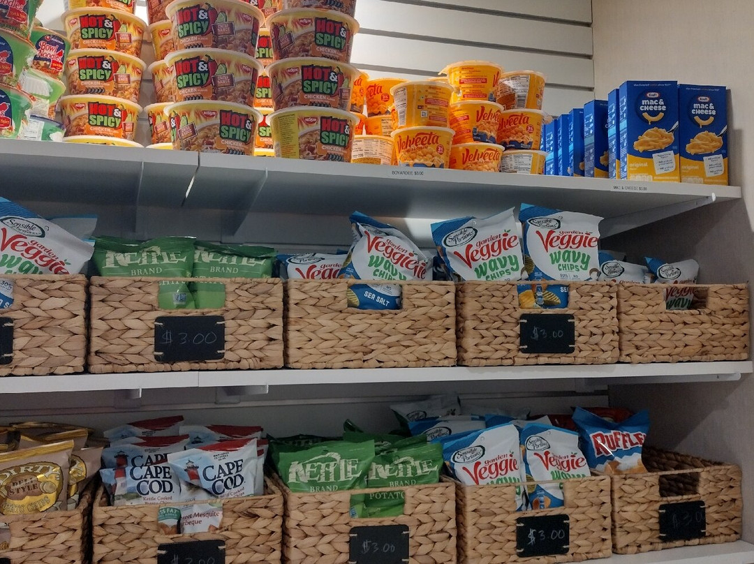 Wyndham Garden Orlando Airport主图