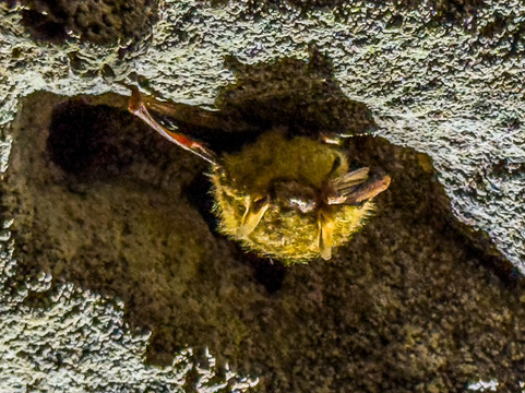 Cascade Caverns-Boerne必去景点