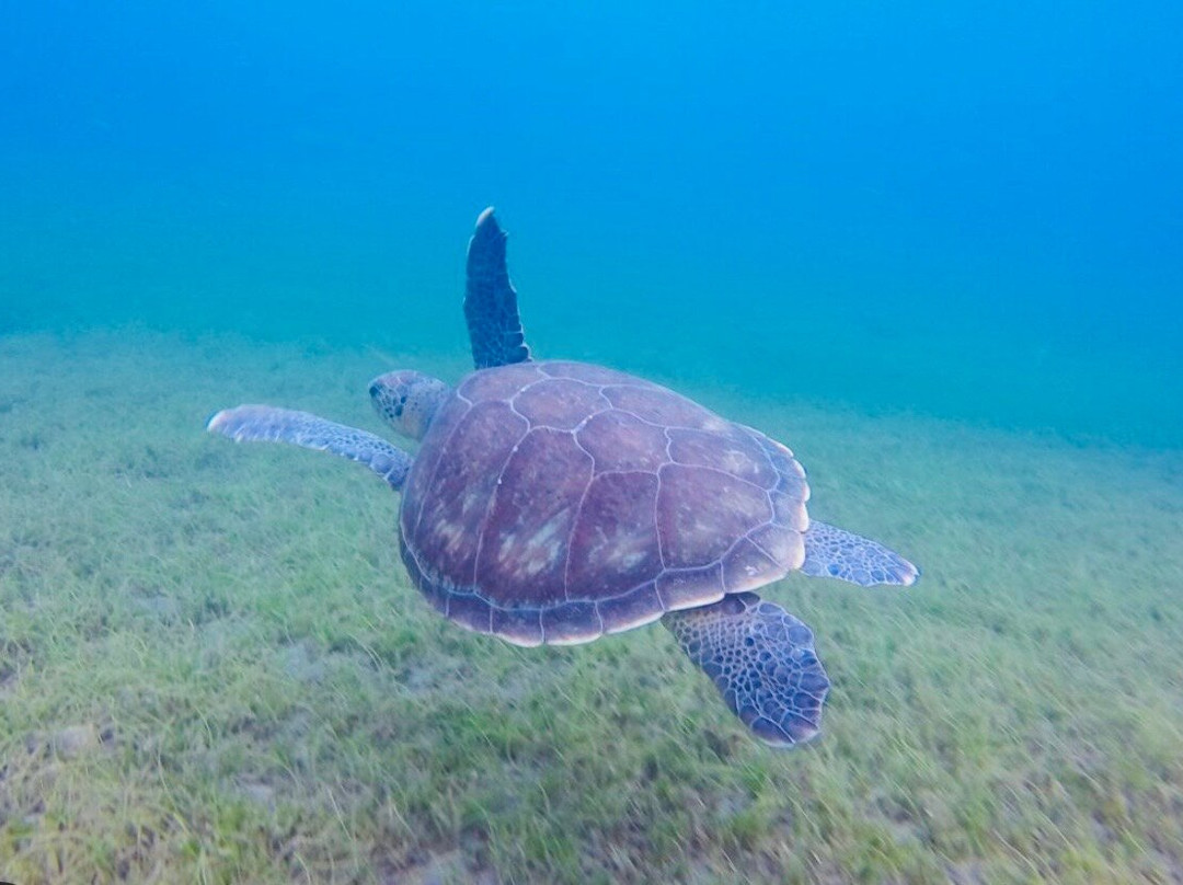 Gwada Pagaie-Bouillante必去景点