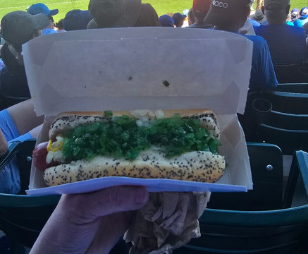 Sloan Park-梅萨必去景点