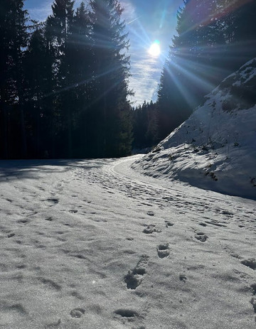 Wellness-Pension Jagahuttn主图